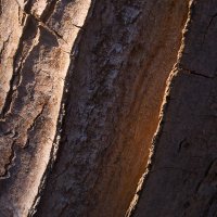 Světlo, stín a odraz