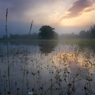 Flooded Meadows II