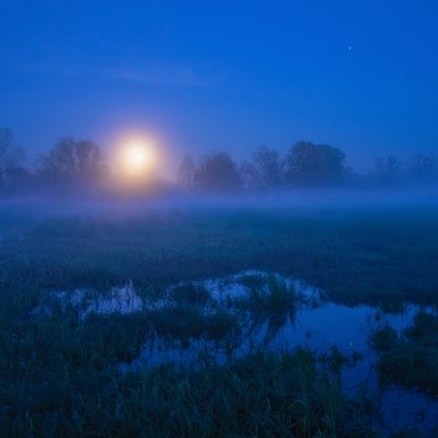 Moonrise on Halloween Night