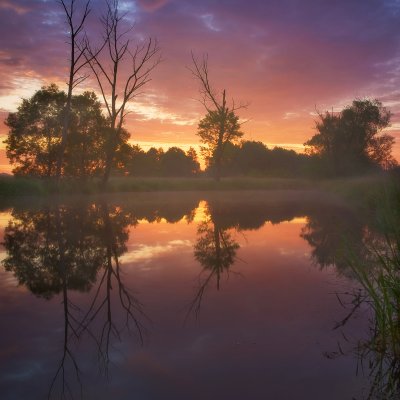 Swamp Sunrise