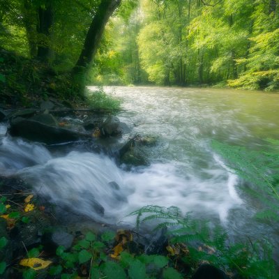 Odra v Oderských vrších