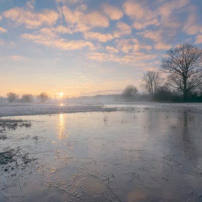 Flooded Meadows in Winter