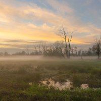 Wetlands at Sunset 