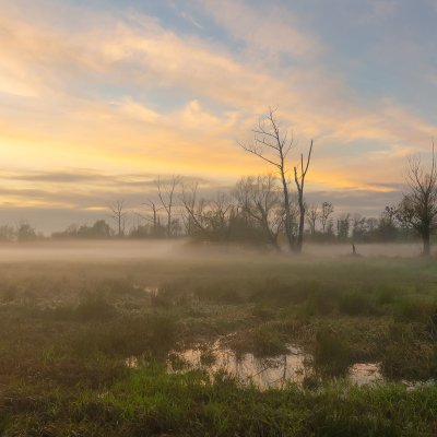 Wetlands at Sunset 