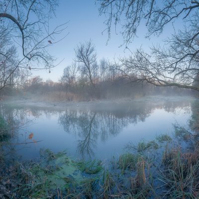 Dead Meander of Morava River