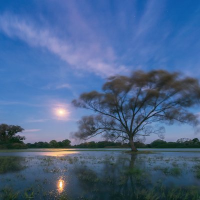 Moonset, Gale, Flooded Meadows