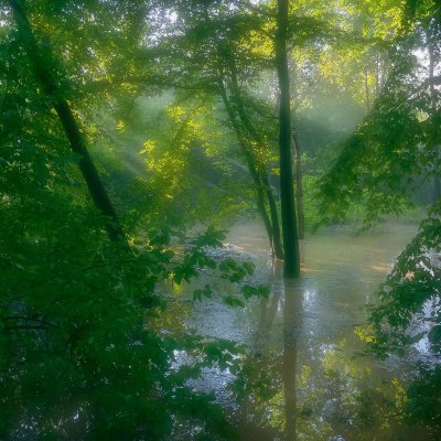 Česká Amazonie