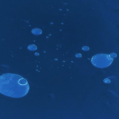 Bubbles