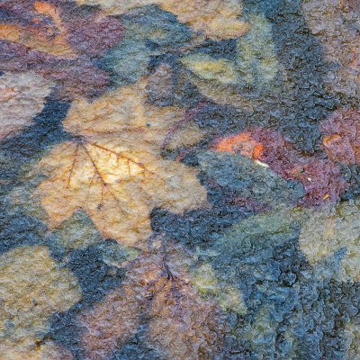 Rotten Leaves under Ice