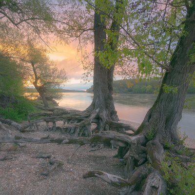 Sunrise at Danube River