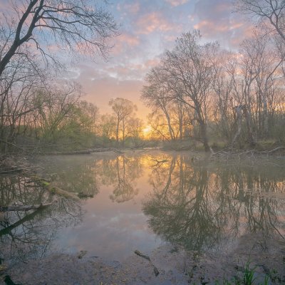 Morava River at Spring