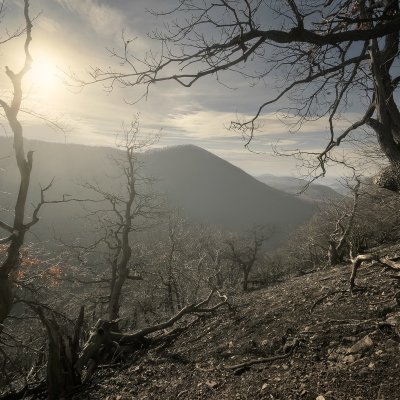 Dry Landscape