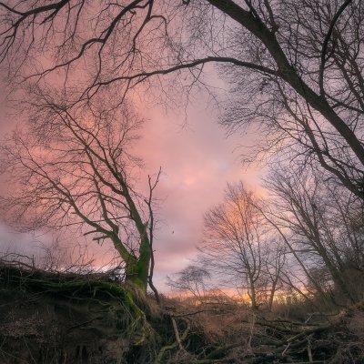 End of Winter in Odra Basin