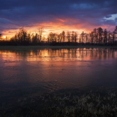 Flooded Meadows