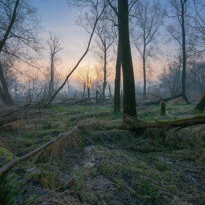 Swamp Geometry