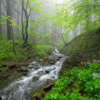 Beskydská zahrádka