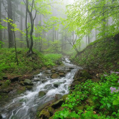 Beskydy Mountains Garden