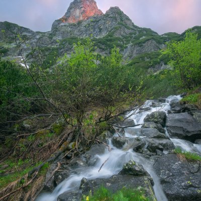 High Tatras Garden