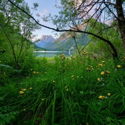 Julian Alps