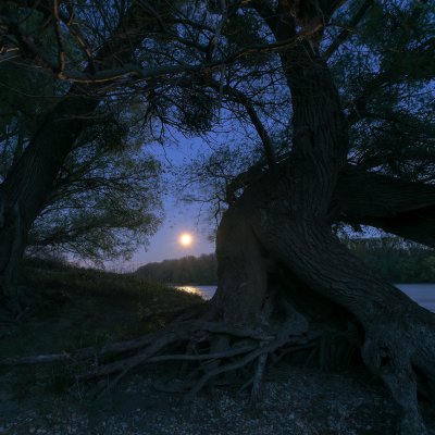 Moonrise at Danube River