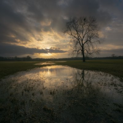 After Floods