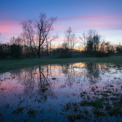 Flooded Meadows at he Dusk