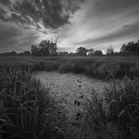 Dry Wetlands