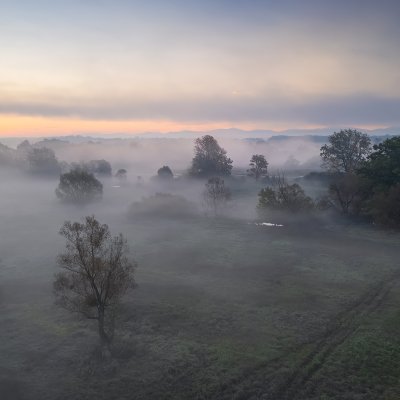 Odra Basin Nature Reservation