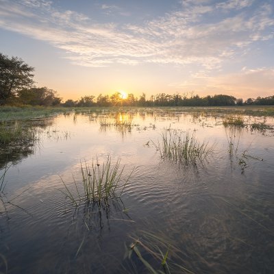 Flow on Meadows