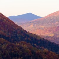 Fatranská stínohra