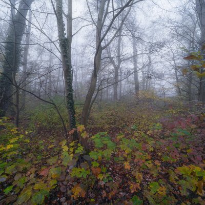 Podzim v Moravských luzích