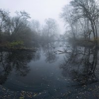 The Blind Arm of the Morava River in the Fog