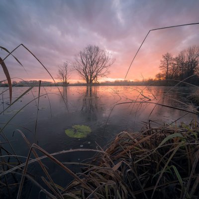 Beginning of Winter