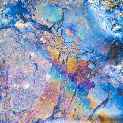 Microcosmos