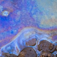 Psychedelická polévka