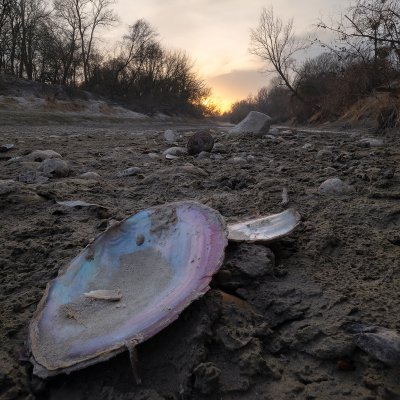 Dry Danube River