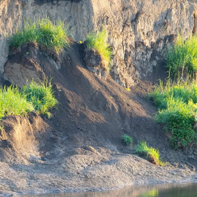 River Bank
