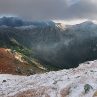 Evening with Chamois