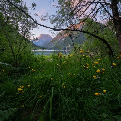 At Alps Lake