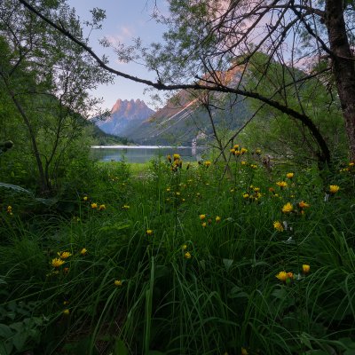 At Alps Lake