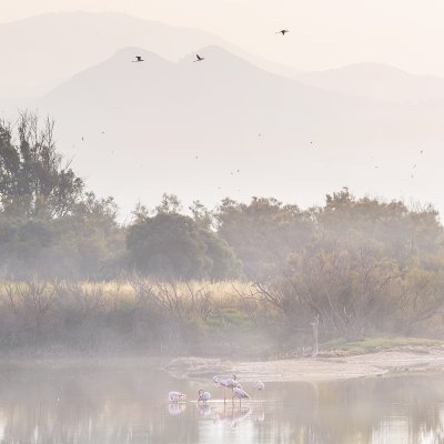 Ráno pod Sierra Nevadou