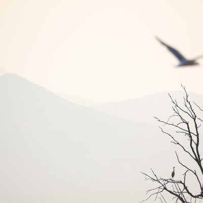 Nevyvážená kompozice