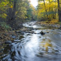 Upper Oder river Impression