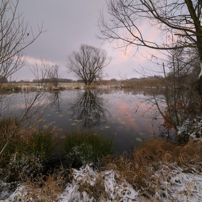 Příchod zimy do Poodří