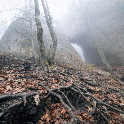 Rock Window in Mist