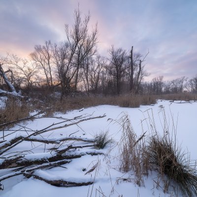 Border Meanders in Winter