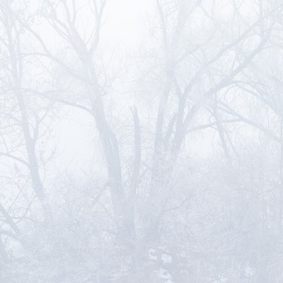 Winter Sketch